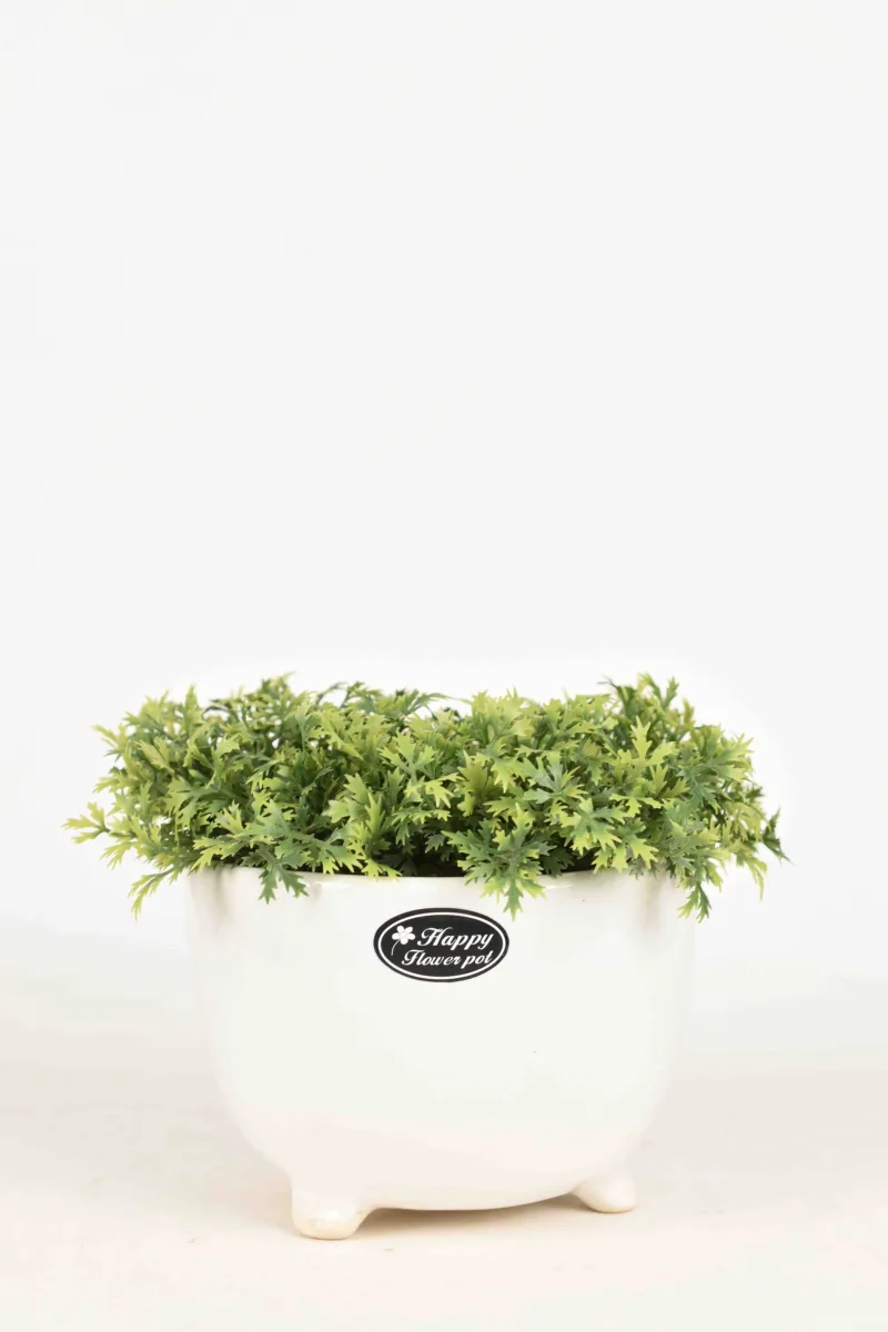 Classic Ceramic Planter — 4" Dia × 3.5" Height — Primary View