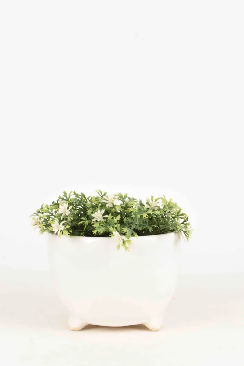 Classic Ceramic Planter — 5.5" Dia × 4" Height — Primary View