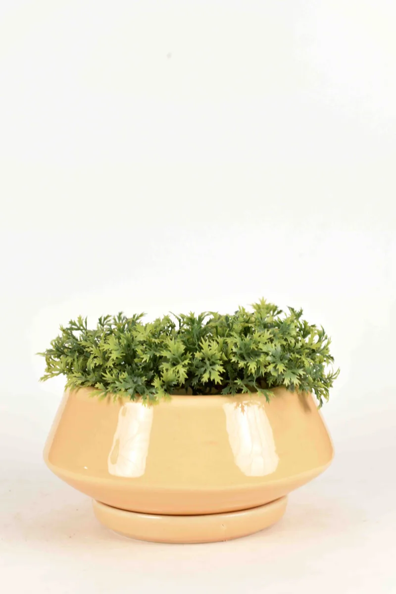 Classic Ceramic Planter — 4.5" Dia × 4" Height — Primary View