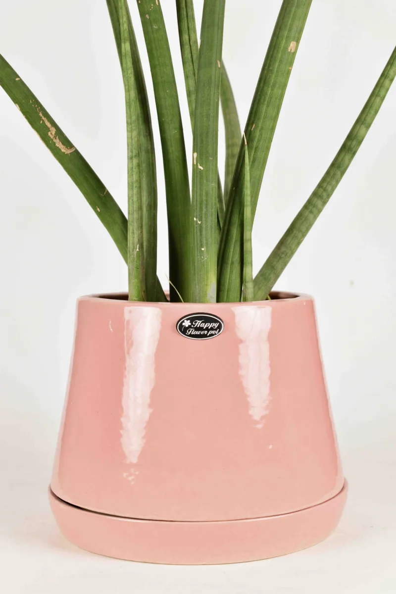 Classic Ceramic Planter — 7" Dia × 4" Height — Primary View