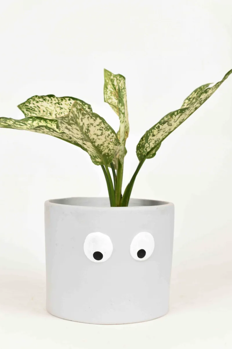 Classic Ceramic Planter — 8" Dia × 7" Height — Primary View