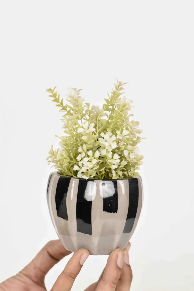 Classic Ceramic Planter Set of 2 (2" Dia) — Primary View