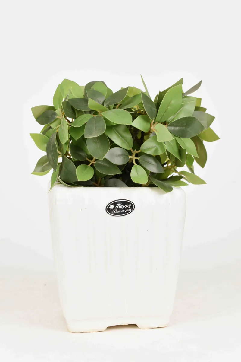 Classic Ceramic Planter — 3.5" Dia × 3" Height — Primary View
