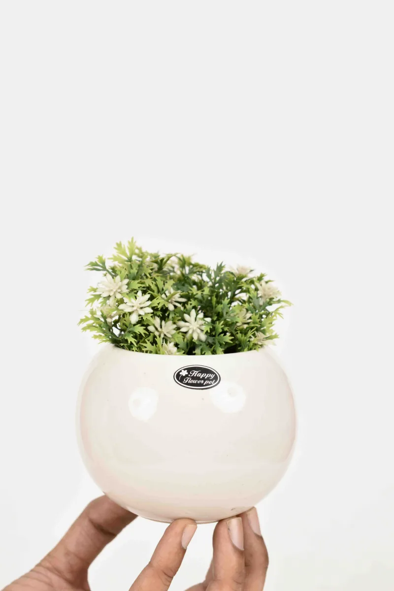 Classic Ceramic Planter — 6" Dia × 5.5" Height — Primary View