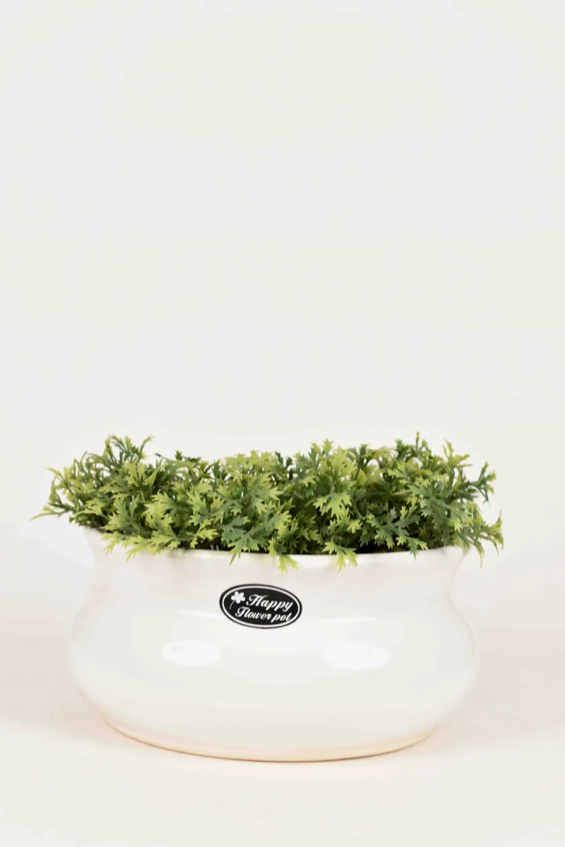 Classic Ceramic Planter — 6" Dia × 5" Height — Primary View