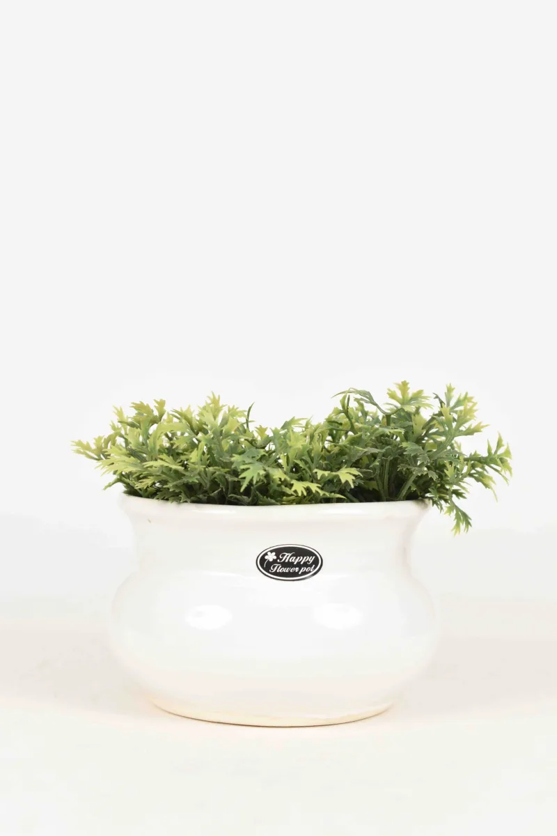 Classic Ceramic Planter — 8" Dia × 8" Height — Primary View