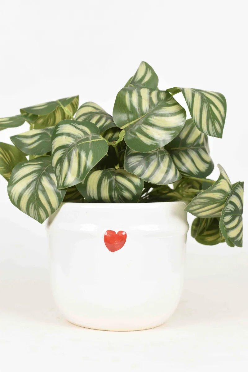 Classic Ceramic Planter — 4.5" Dia × 3" Height — Primary View