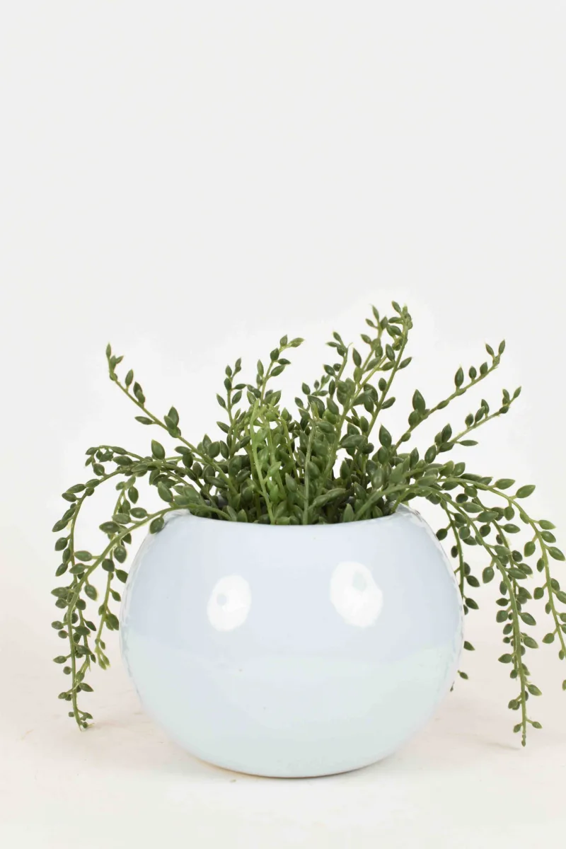 Classic Ceramic Planter — 5" Dia × 4.5" Height — Primary View