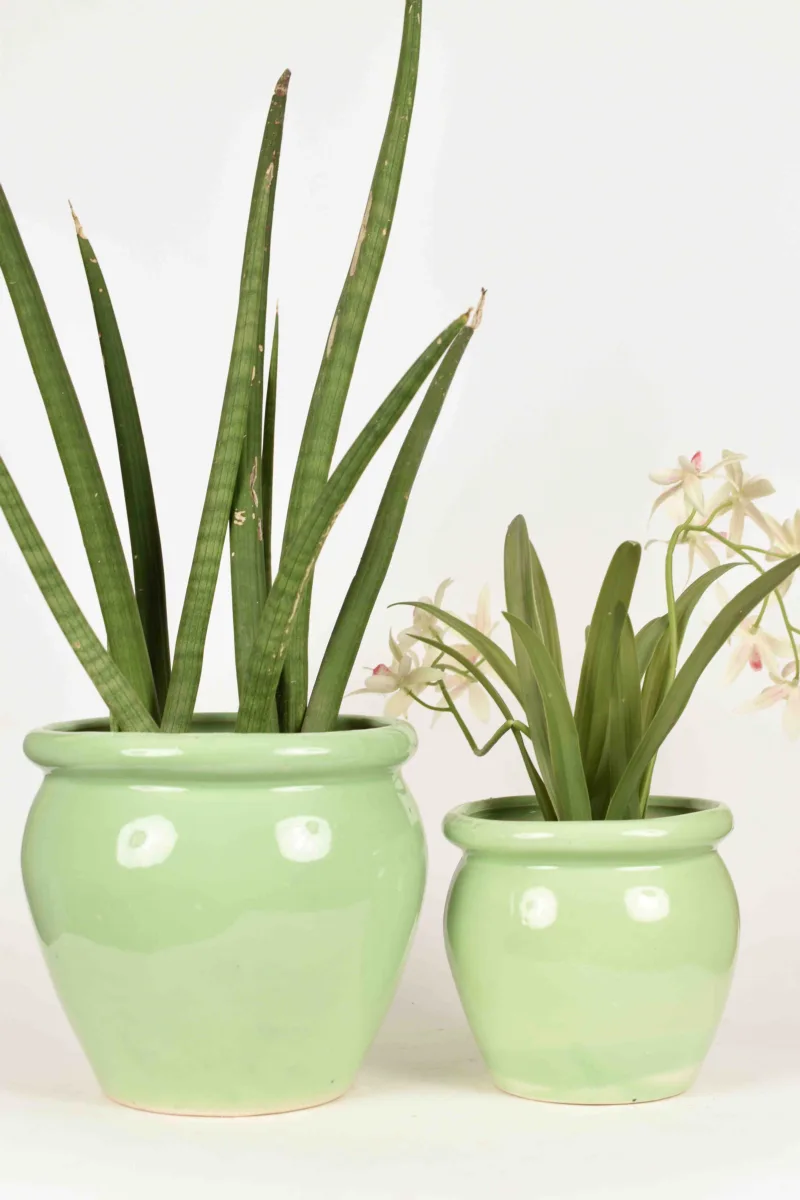 Classic Ceramic Planter — 5.5" Dia × 4.5" Height — Primary View
