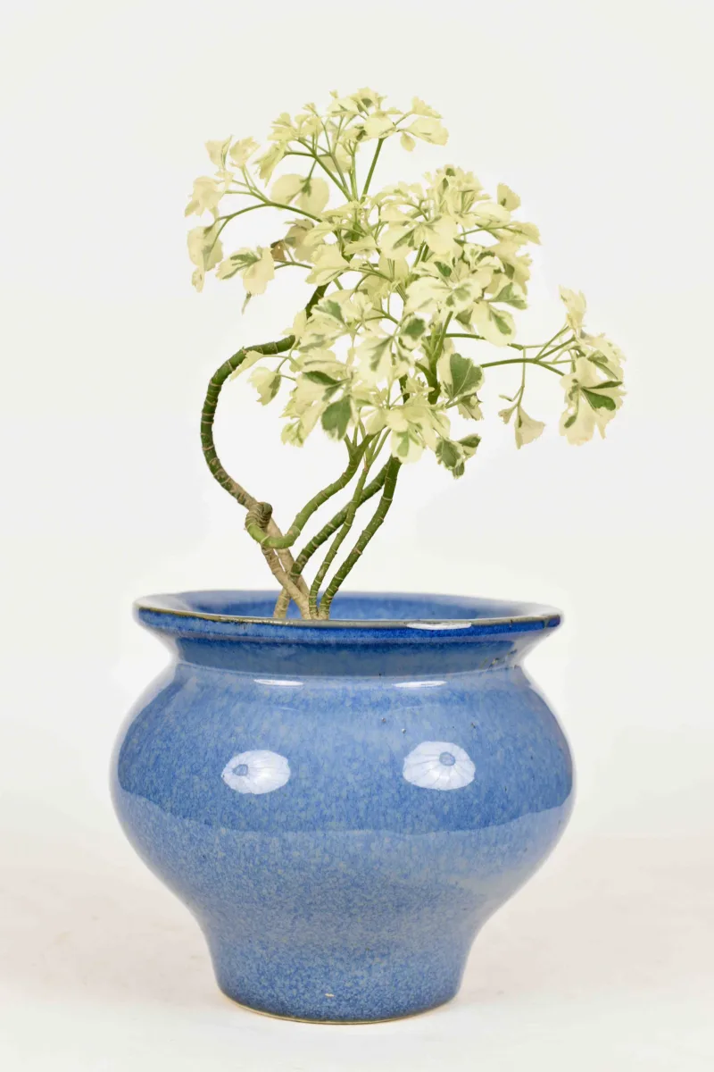 Classic Ceramic Planter Set of 2 (2" Dia) — Primary View