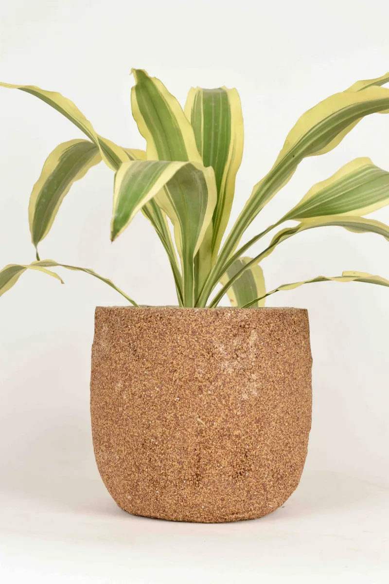 Classic Ceramic Planter — 9" Dia × 7" Height — Primary View