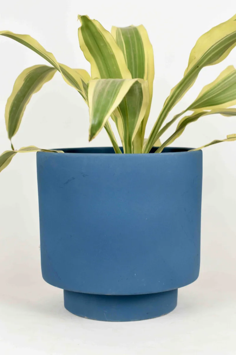 Classic Ceramic Planter — 10" Dia × 7" Height — Primary View