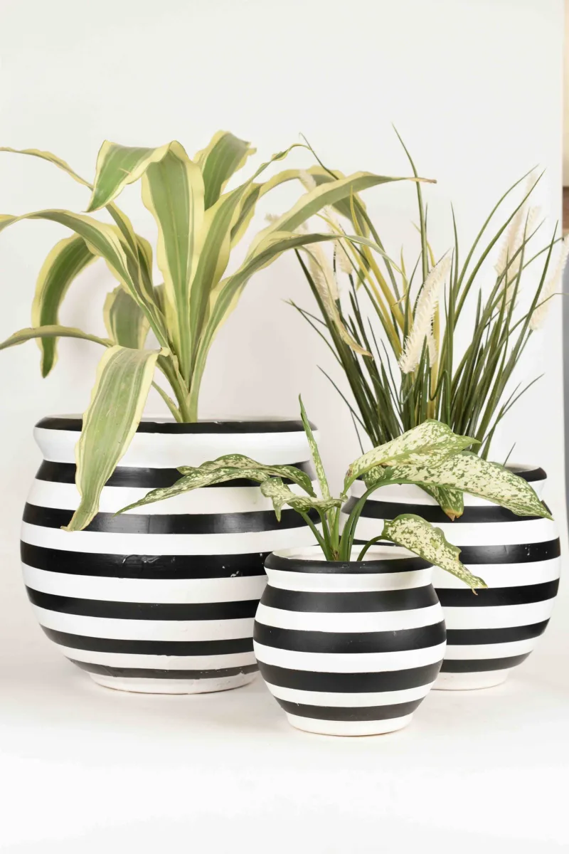 Classic Ceramic Planter — 9.5" Dia × 9" Height — Primary View