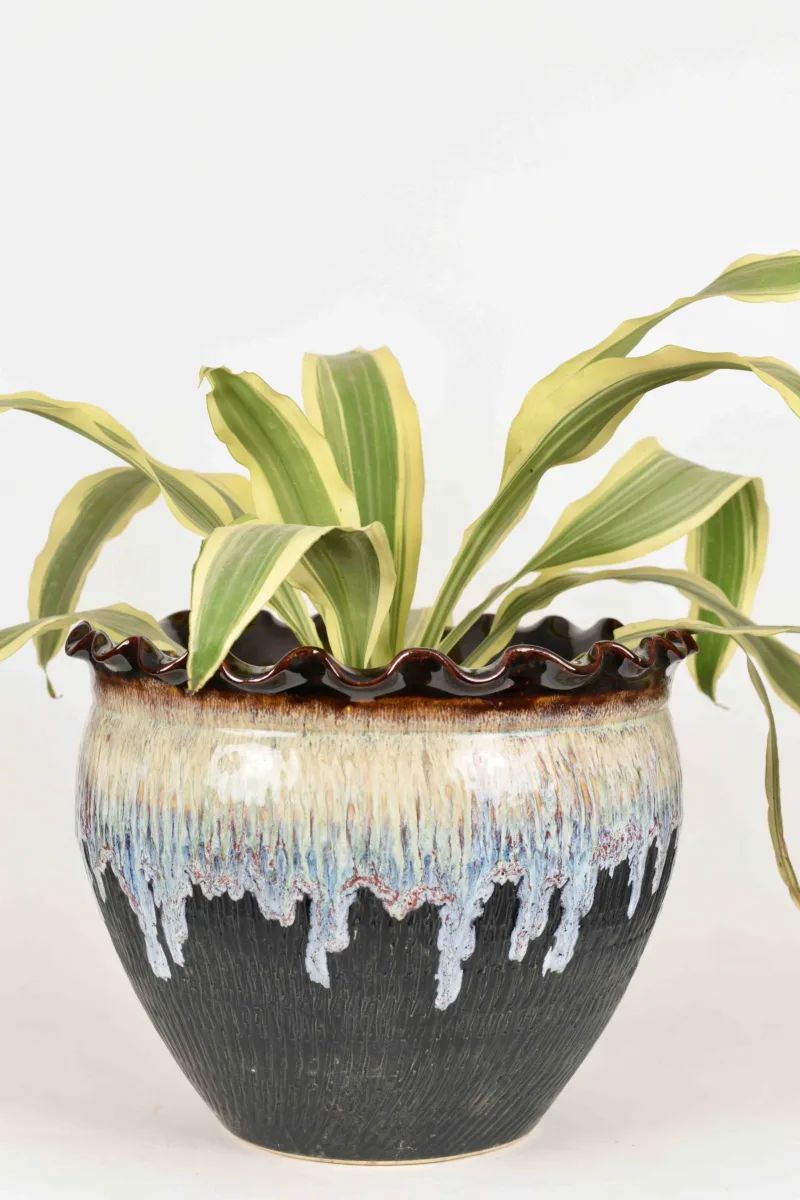 Classic Ceramic Planter — 5.5" Dia × 5" Height — Primary View