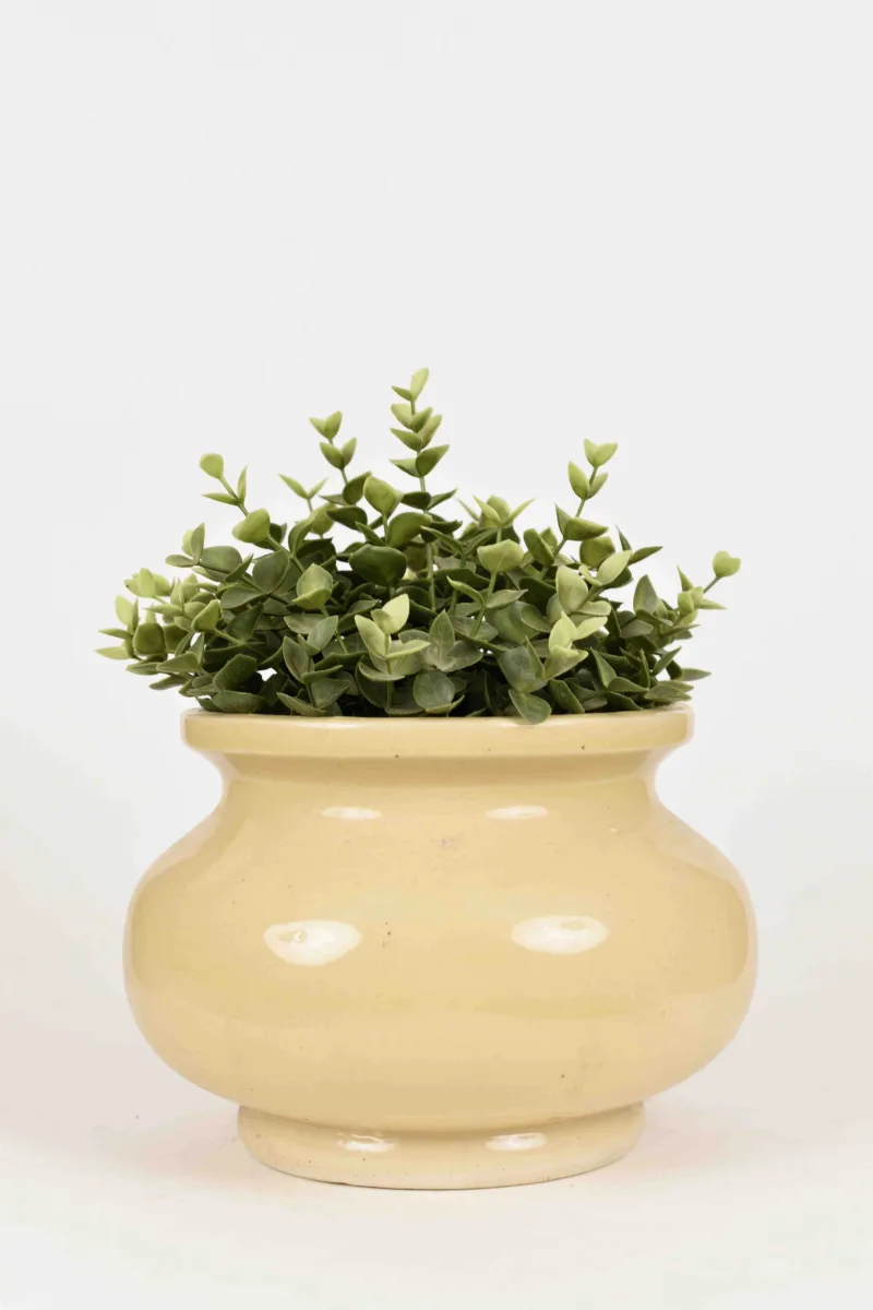 Classic Ceramic Planter — 10" Dia × 8" Height — Primary View