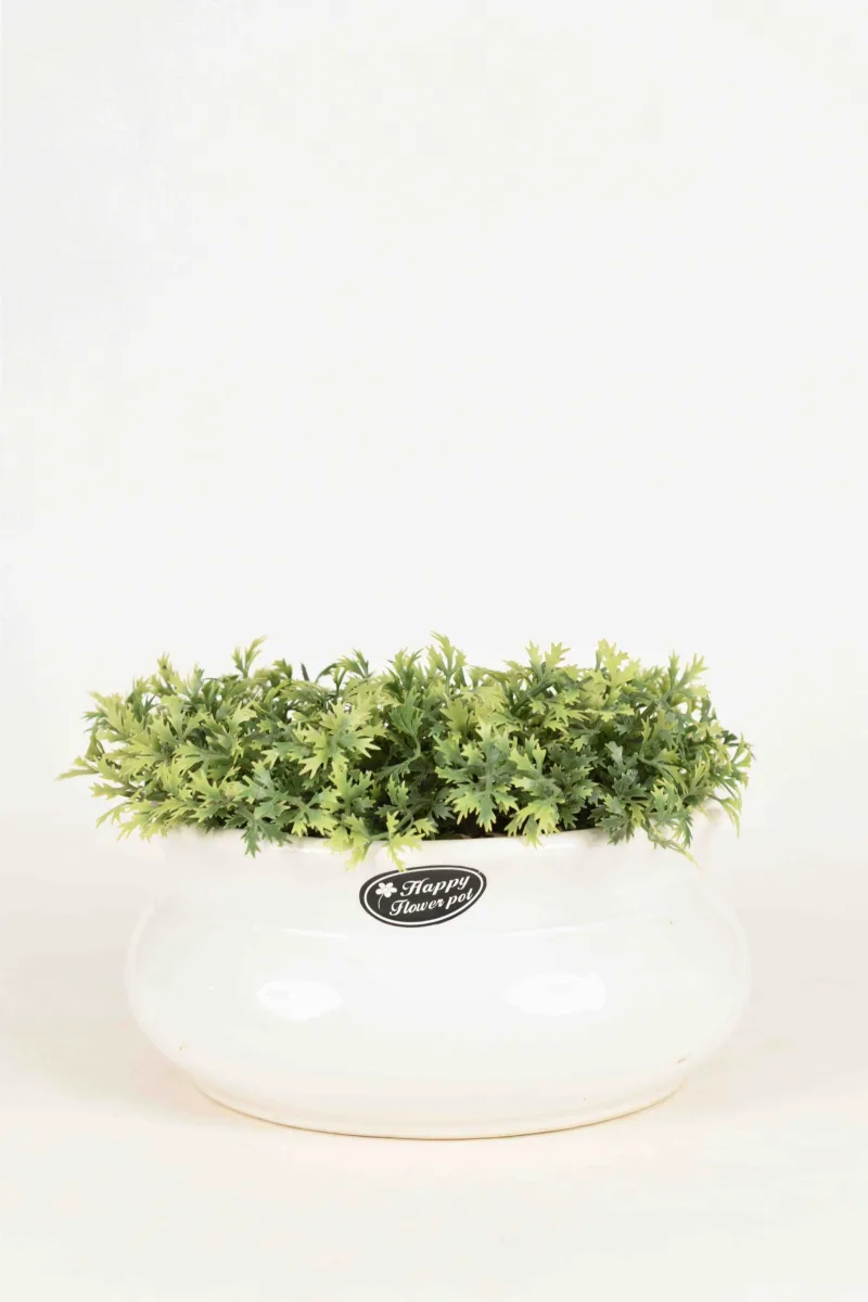 Classic Ceramic Planter — 5" Dia × 5" Height — Primary View