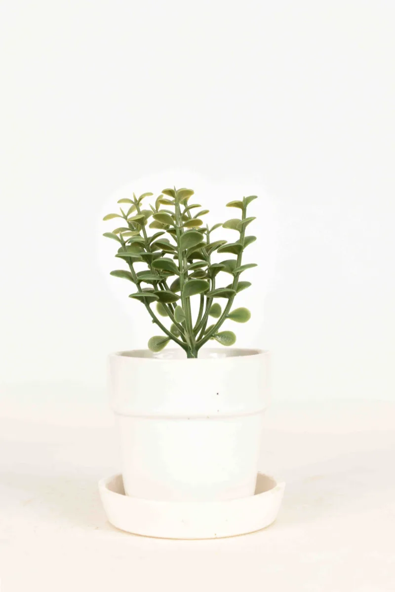 Classic Ceramic Planter — 4" Dia × 5" Height — Primary View