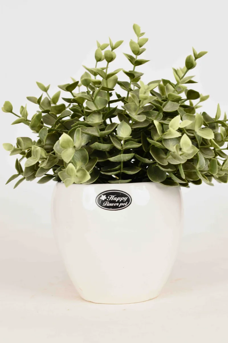 Classic Ceramic Planter — 4" Dia × 3" Height — Primary View