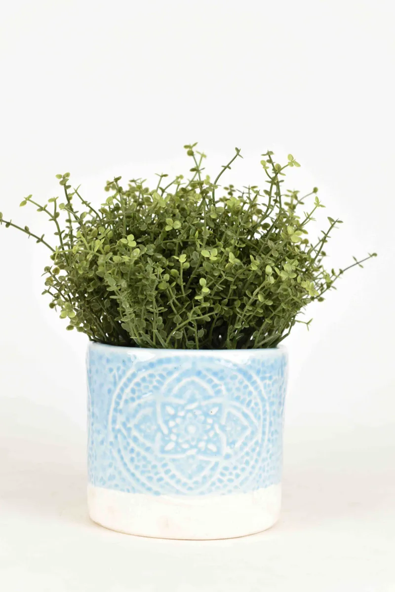 Classic Ceramic Planter — 6" Dia × 3" Height — Primary View