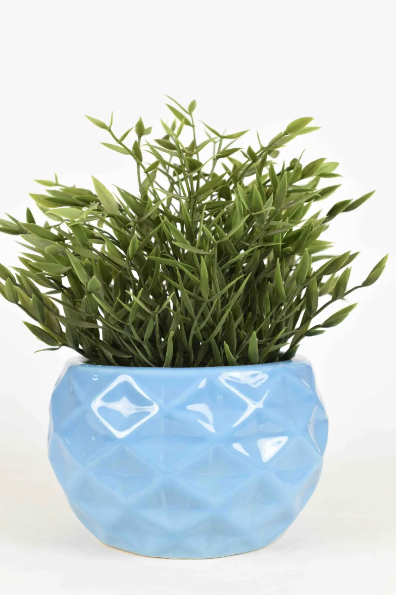 Classic Ceramic Planter — 5" Dia × 5" Height — Primary View