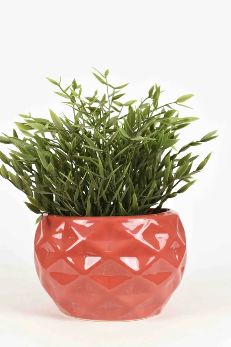 Classic Ceramic Planter — 4" Dia × 4" Height — Primary View