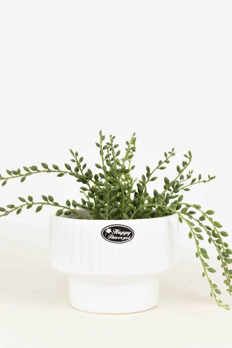 Classic Ceramic Planter — 5" Dia × 4.5" Height — Primary View
