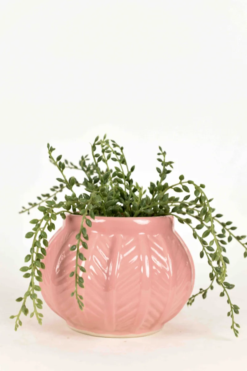 Classic Ceramic Planter — 9" Dia × 6" Height — Primary View