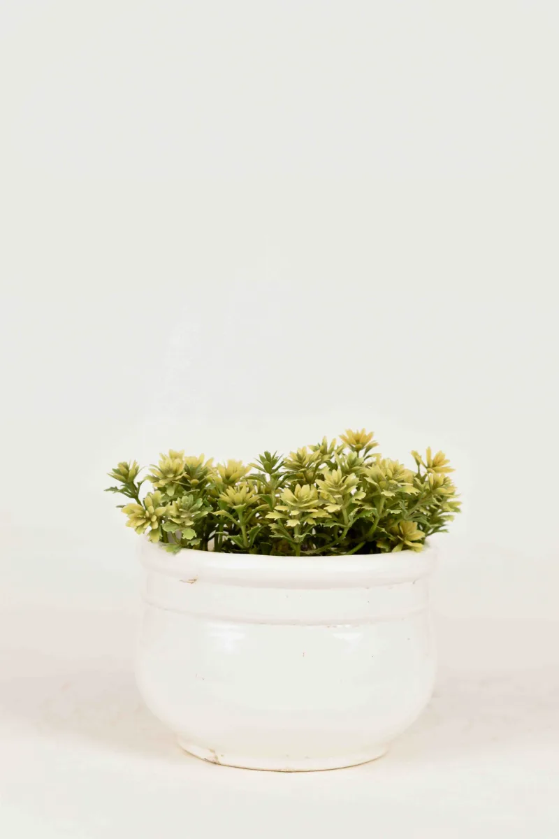 Classic Ceramic Planter Set of 2 (2" Dia) — Primary View