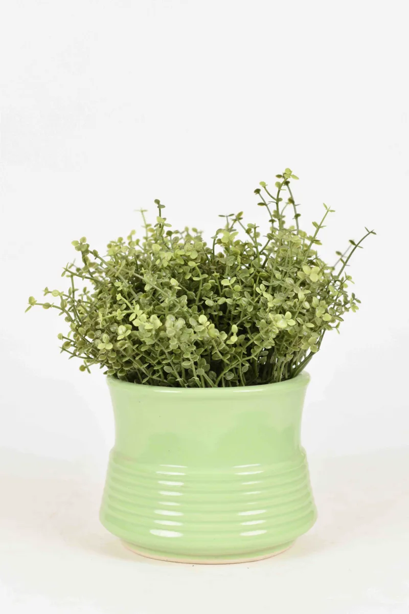 Classic Ceramic Planter — 4.5" Dia × 3" Height — Primary View