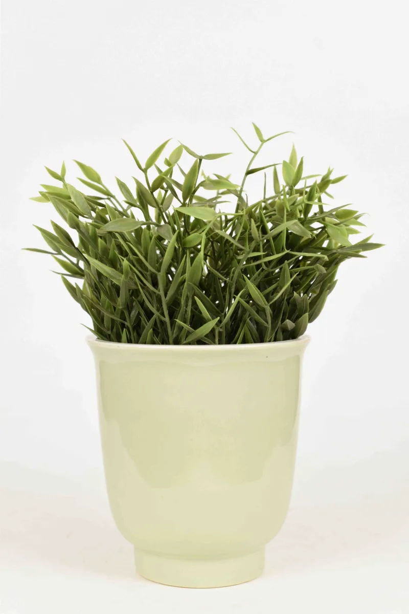 Classic Ceramic Planter — 4.5" Dia × 4.5" Height — Primary View