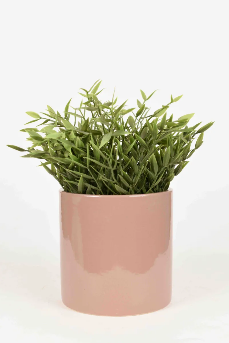 Classic Ceramic Planter — 5" Dia × 4.5" Height — Primary View