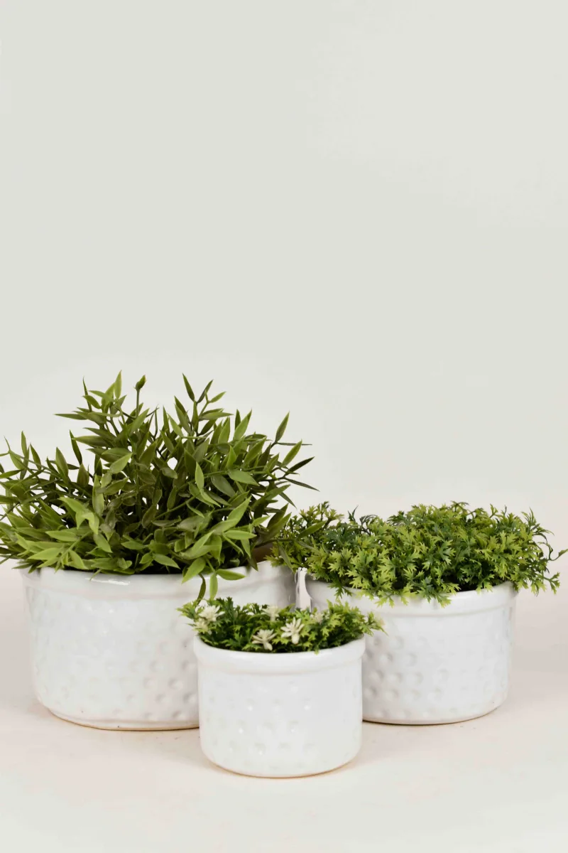 Classic Ceramic Planter — 7" Dia × 3.5" Height — Primary View