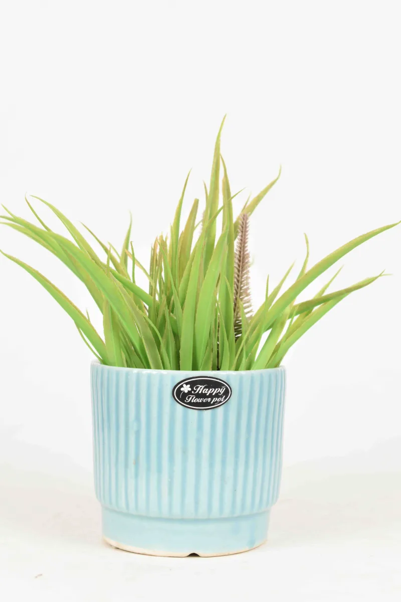 Classic Ceramic Planter — 5.5" Dia × 5.5" Height — Primary View