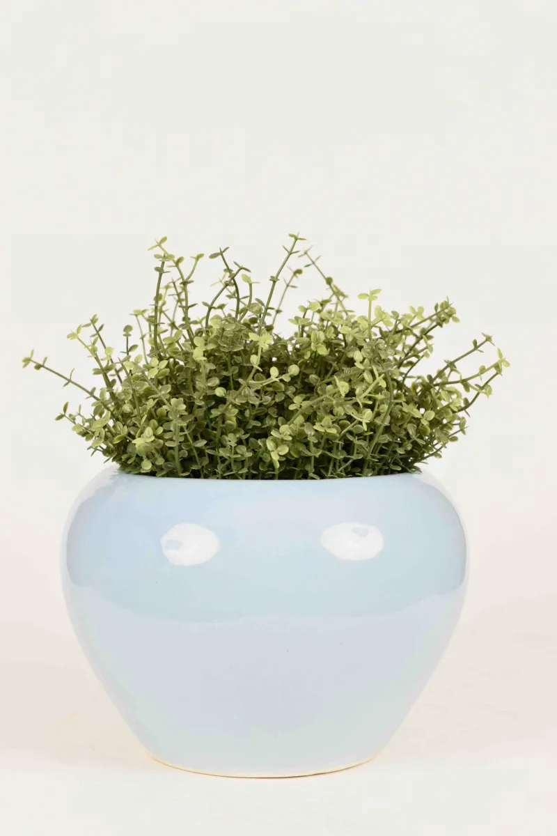 Classic Ceramic Planter — 9" Dia × 3" Height — Primary View