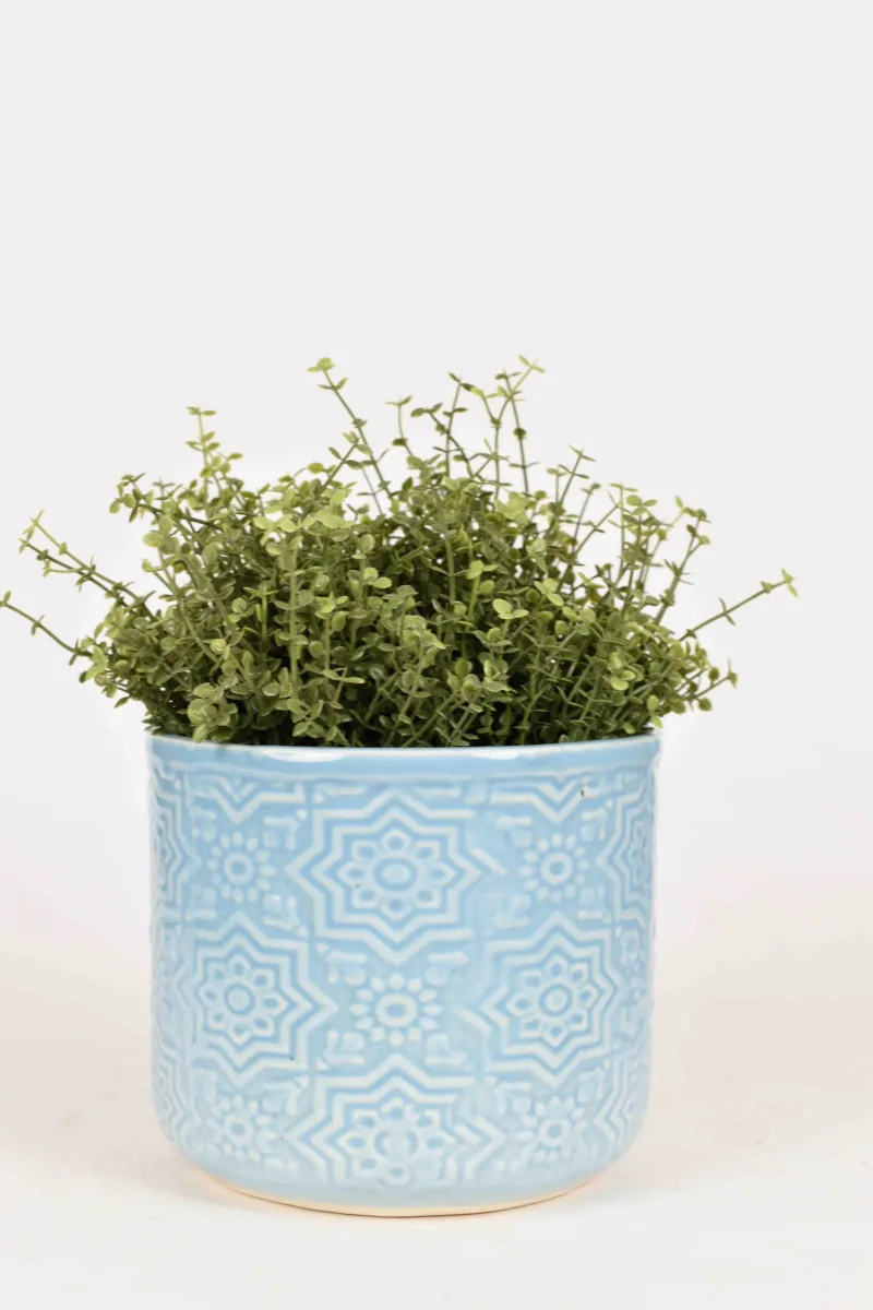 Classic Ceramic Planter — 9" Dia × 3" Height — Primary View