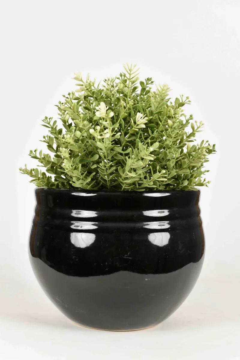 Classic Ceramic Planter — 9" Dia × 3" Height — Primary View