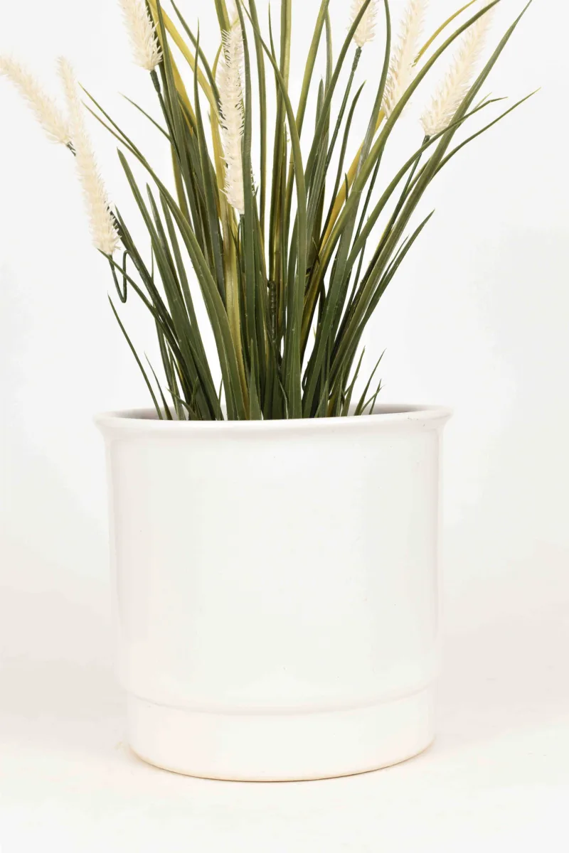 Classic Ceramic Planter — 6.5" Dia × 5" Height — Primary View