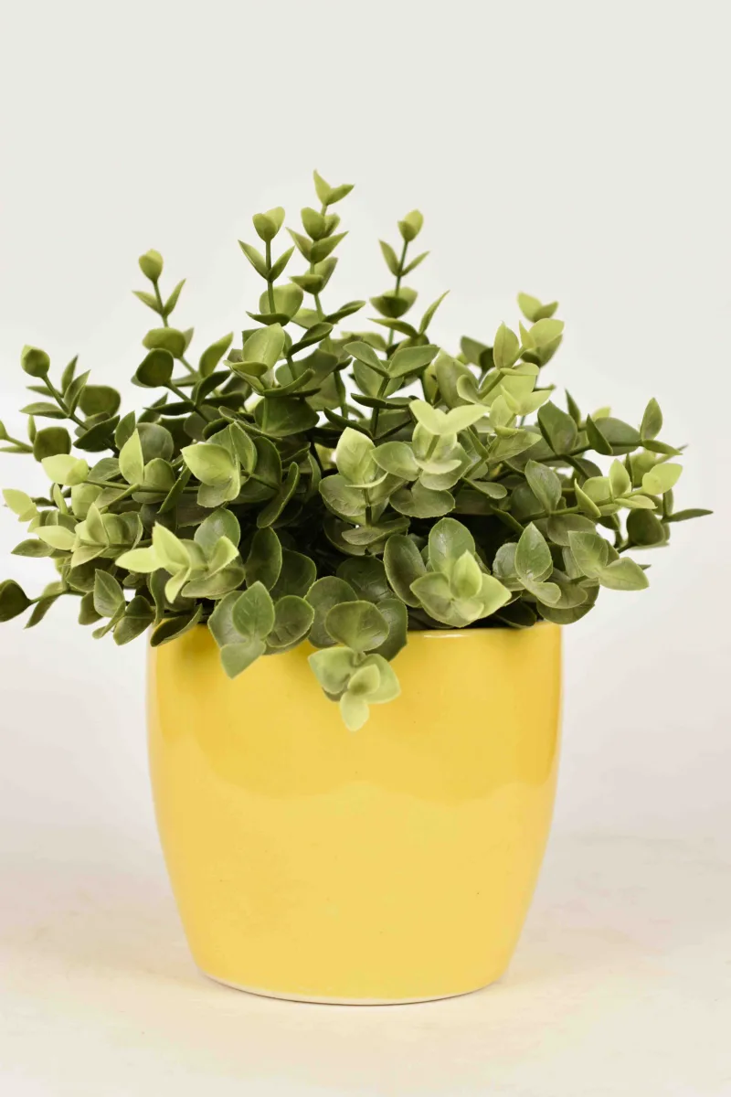 Classic Ceramic Planter — 8" Dia × 7" Height — Primary View
