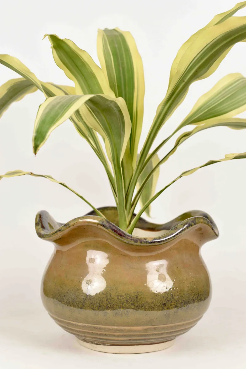 Classic Ceramic Planter — 9" Dia × 7" Height — Primary View