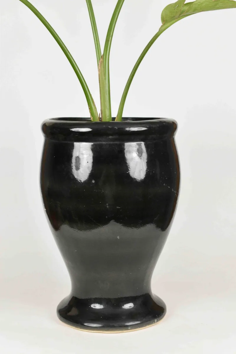 Classic Ceramic Planter — 10" Dia × 7" Height — Primary View