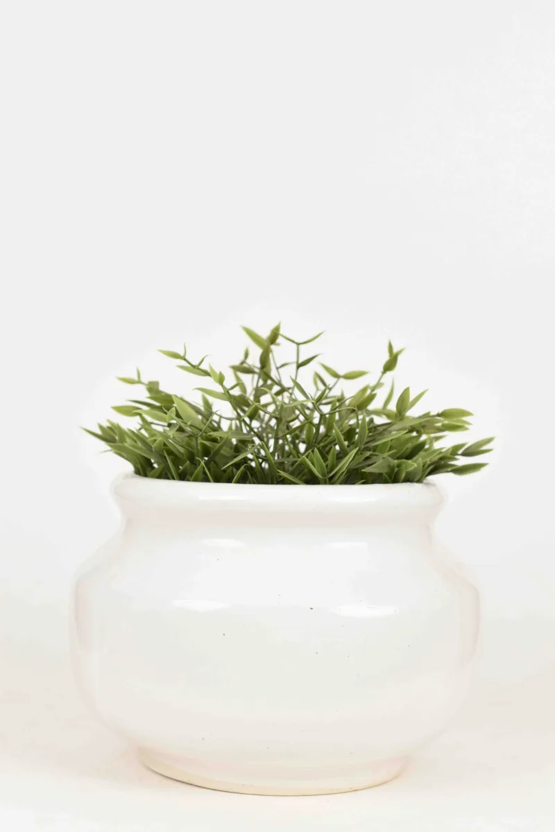 Classic Ceramic Planter — 6.5" Dia × 6" Height — Primary View