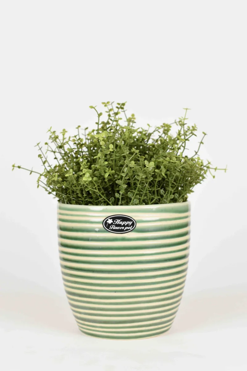 Classic Ceramic Planter — 9" Dia × 7" Height — Primary View
