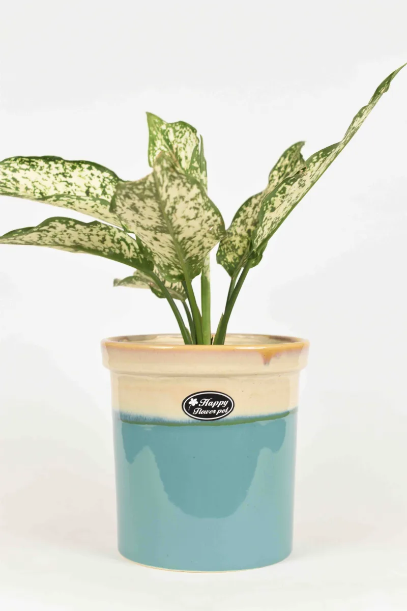Classic Ceramic Planter — 9" Dia × 8" Height — Primary View