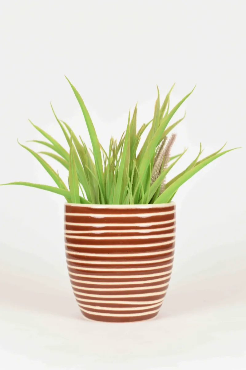 Classic Ceramic Planter — 5.5" Dia × 5.5" Height — Primary View