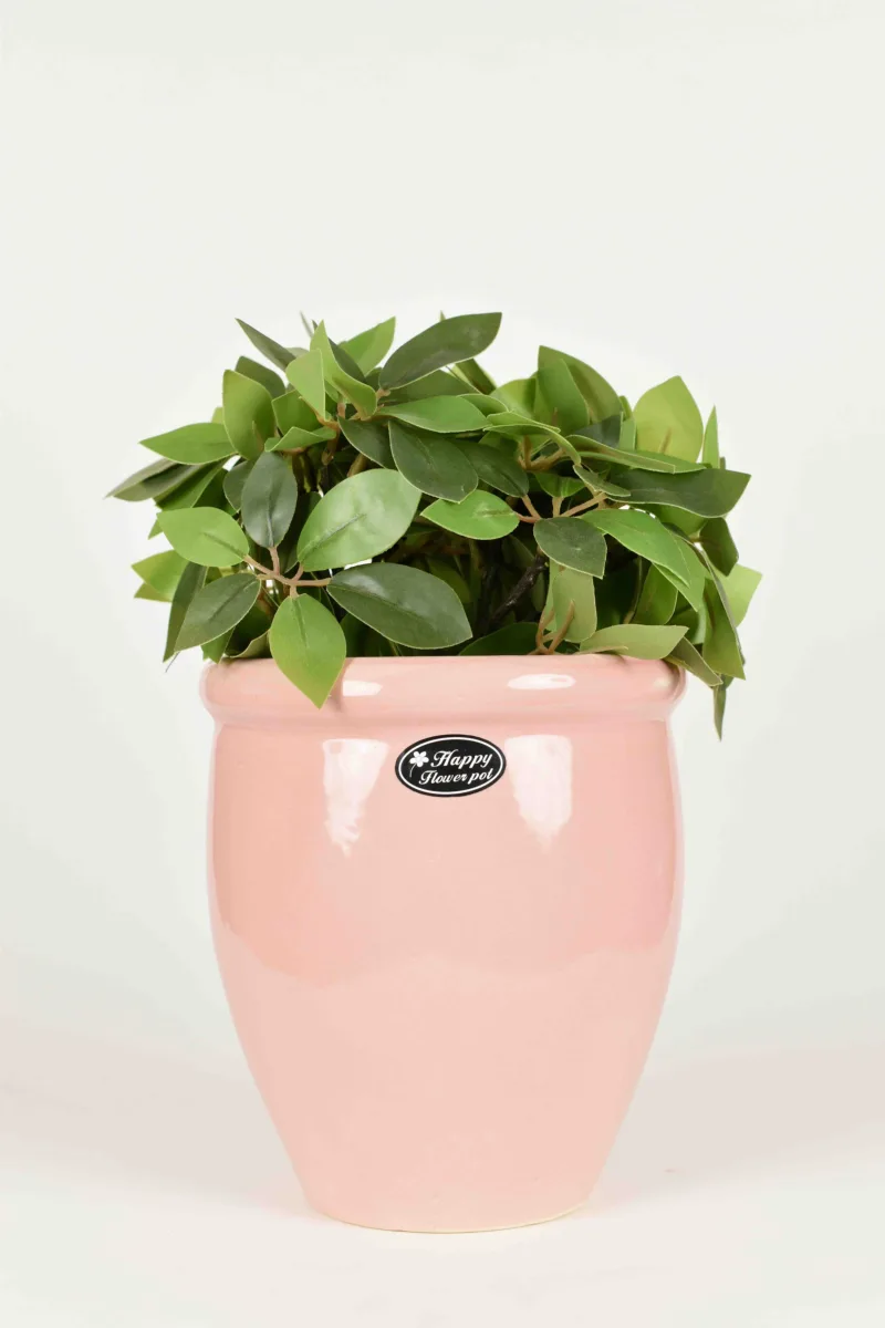 Classic Ceramic Planter — 4.5" Dia × 4" Height — Primary View