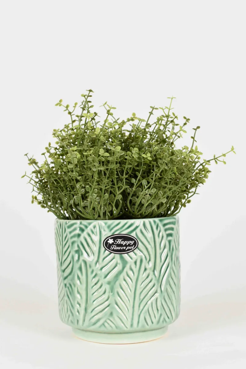 Classic Ceramic Planter — 4.5" Dia × 4.5" Height — Primary View