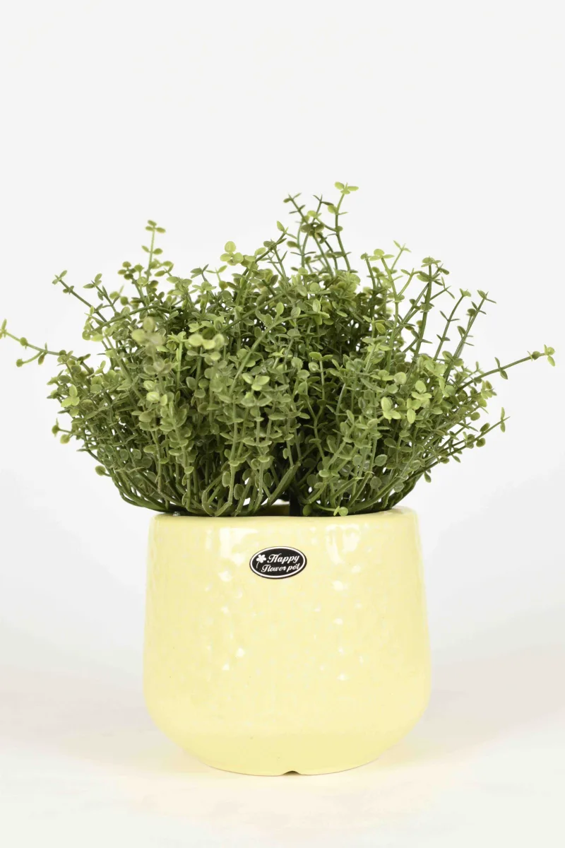Classic Ceramic Planter — 6.5" Dia × 7.5" Height — Primary View