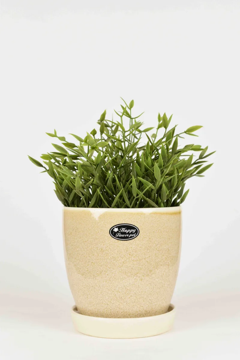 Classic Ceramic Planter — 4" Dia × 3" Height — Primary View