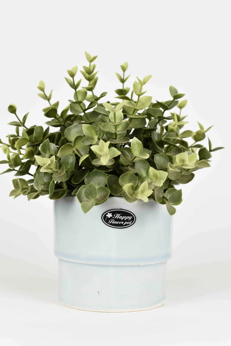 Classic Ceramic Planter — 5" Dia × 4.5" Height — Primary View