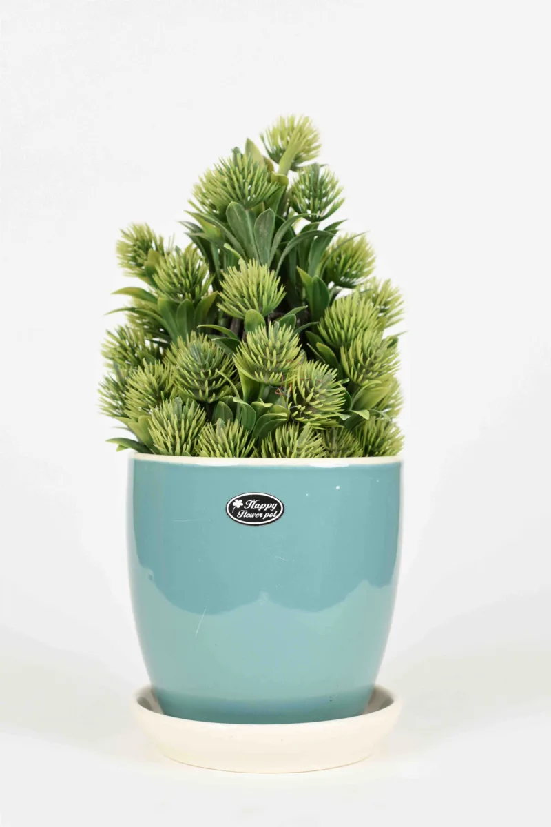 Classic Ceramic Planter — 4.5" Dia × 5.5" Height — Primary View